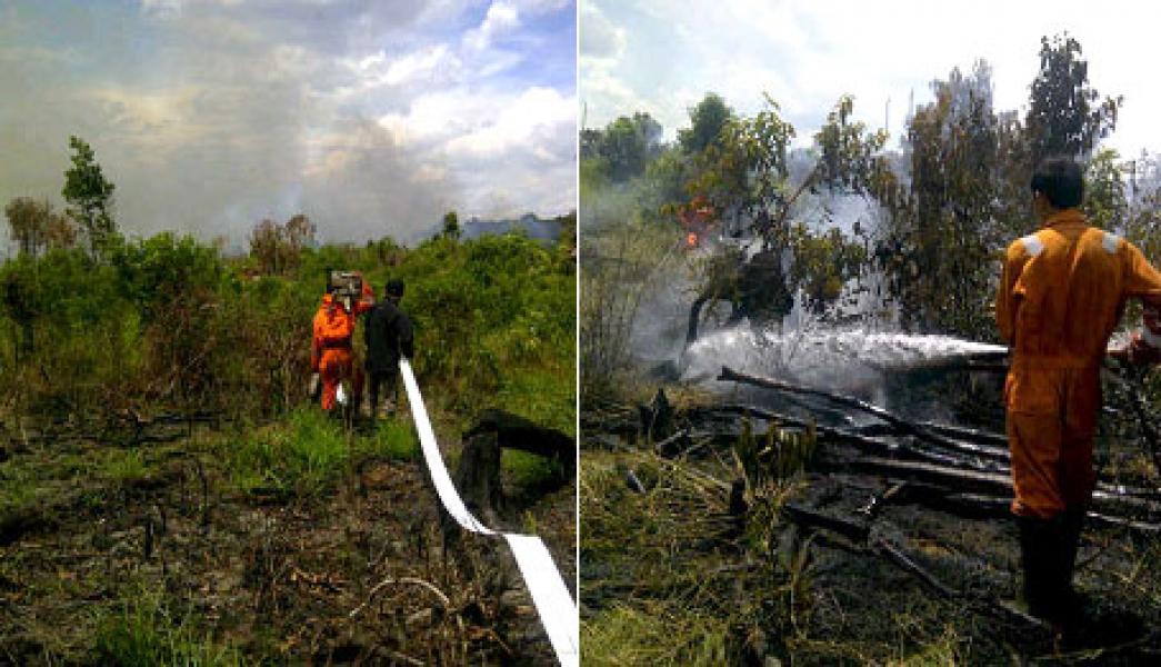 Kembali Ratusan Hektar Lahan Terbakar di Pelalawan