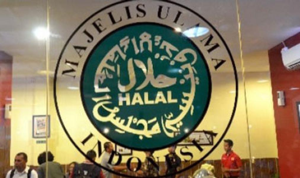 Komisi Fatwa MUI Setuju dengan PP Aborsi