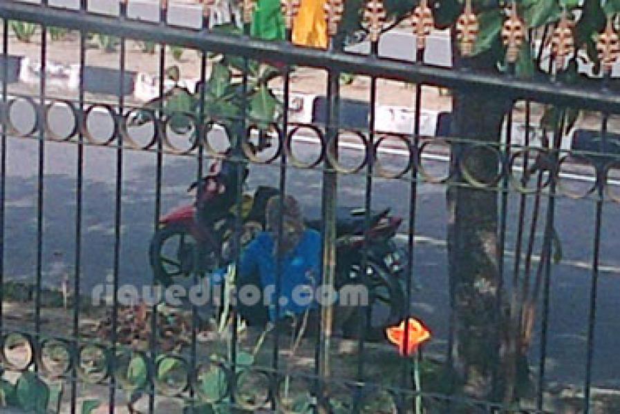 Perkantoran Bupati Pelalawan Masih Menjadi Ajang Memadu Kasih