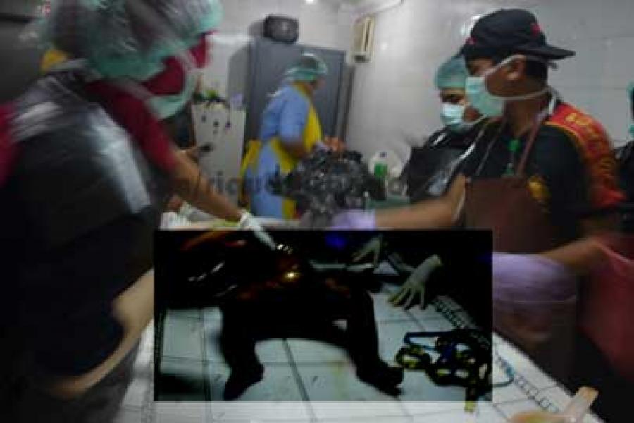 Suami Tersangka Pembunuh Bayi Jeanette Minta Istrinya Menyerahkan Diri