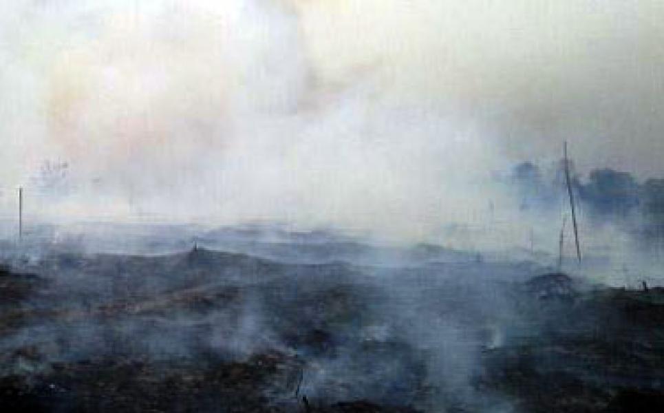 90 Persen Kabut Asap Riau Kiriman dari Sumsel dan Jambi