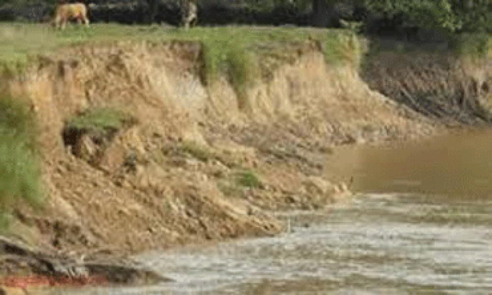 Abrasi Sungai Indragiri Harus Segera Diatasi