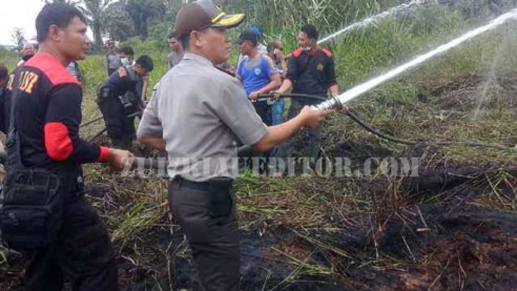 Kapolres Sebut 1226 Hektar Lahan Terbakar di Pelalawan