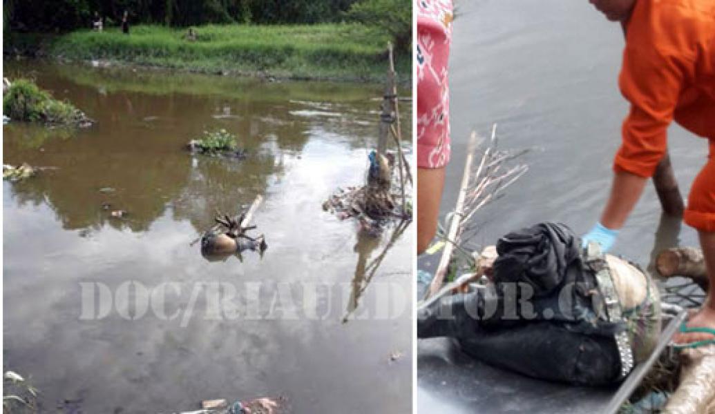 Pemancing di Sungai Sail Temukan Mayat Wanita Tanpa Kepala