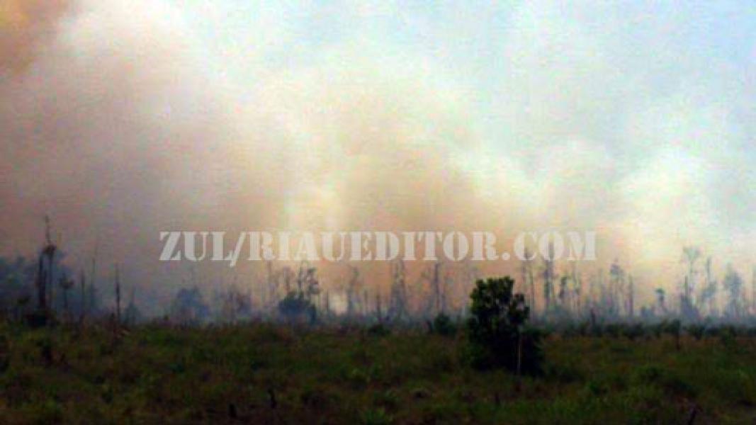 Plt Gubri: Penegak Hukum Harus Tangkap Pelaku Pembakaran