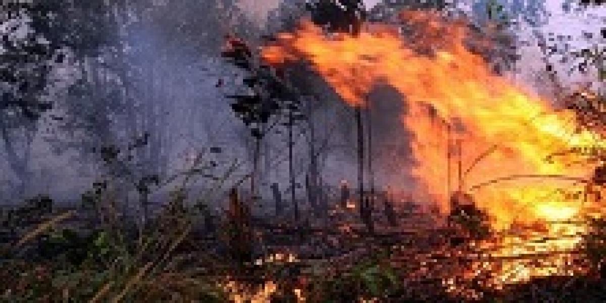 Titik Api di Pelalawan Nihil