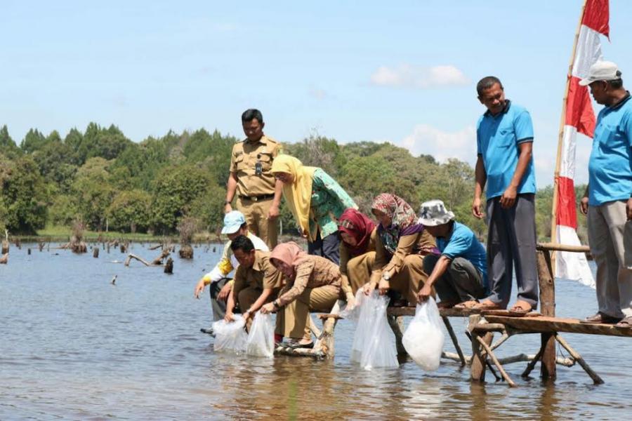 55 Ribu Benih Ikan ditebar di Danau Larangan Sungai Tombang