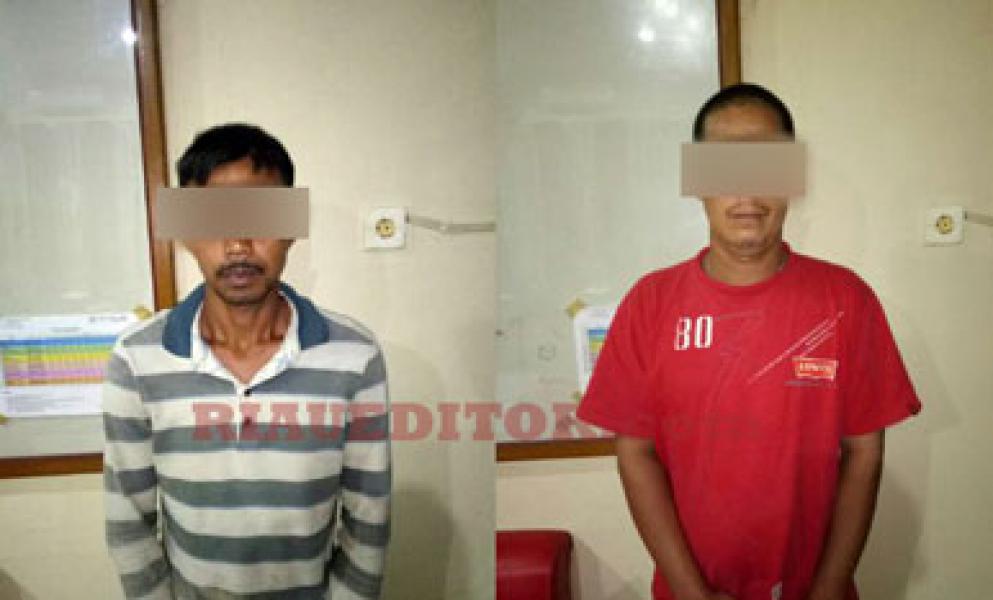 Angkut Kayu Tanpa Izin Dua Warga Pulau Gelang Diamankan Polres Inhu