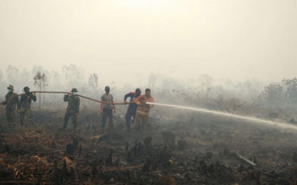 Atasi Karlahut di Rokan Hilir, BPBD Riau Diminta Turunkan Hujan Buatan