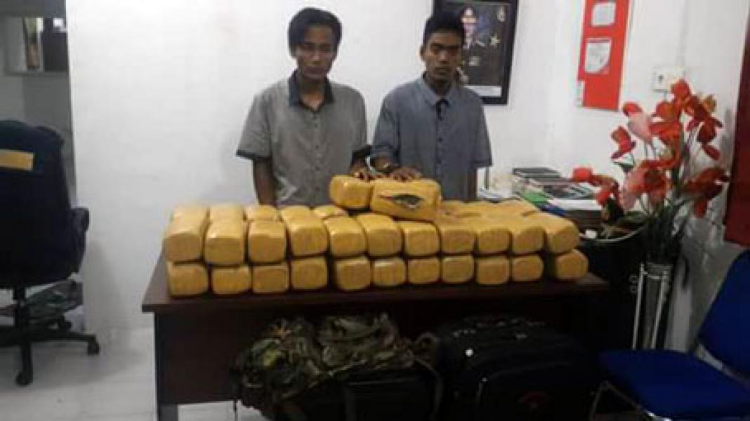 Bawa 48 Kg Ganja, Dua Warga Aceh Utara Diamankan Polsek Batang Gansal Inhu