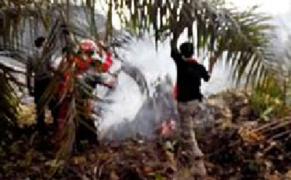 Danramil 02/Rambah Padamkan Lahan Terbakar di SKPA Rambah Samo