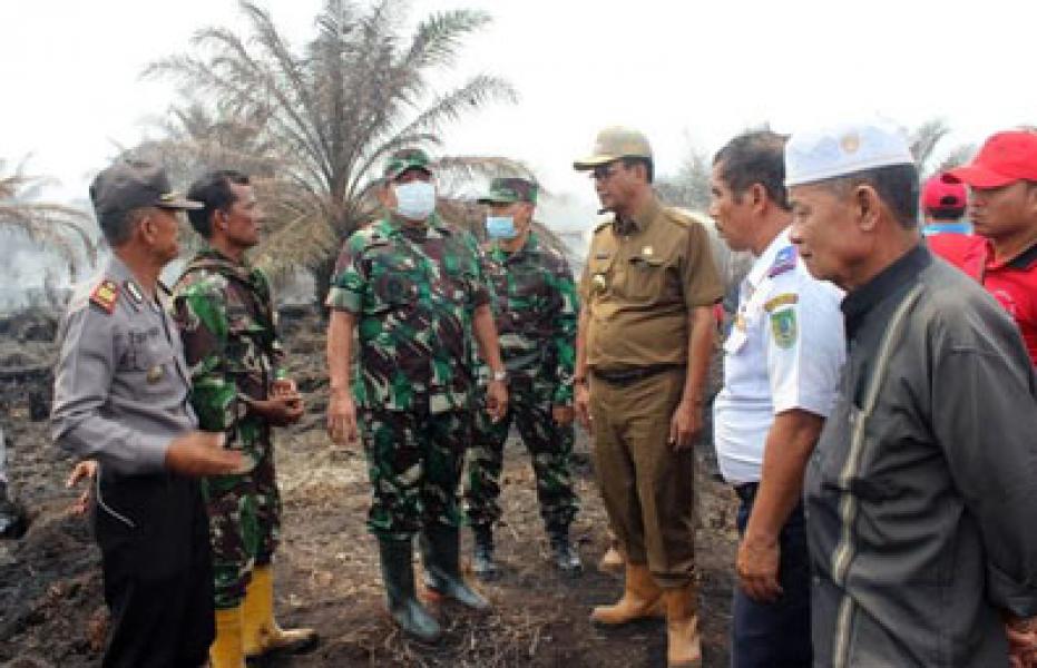 Danrem 031/Wirabima: Tim Satgas Berhasil Atasi Karhutla di Rohil Selama Tiga Hari