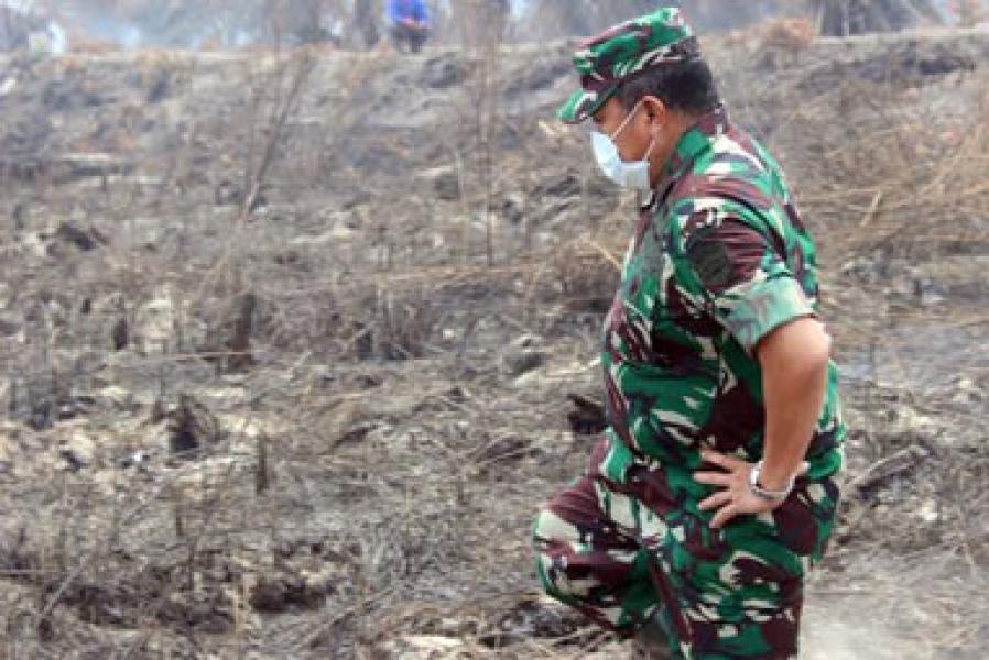 Danrem 031/Wirabima Imbau Kepala Daerah Untuk Serius Tanggulangi Karhutla