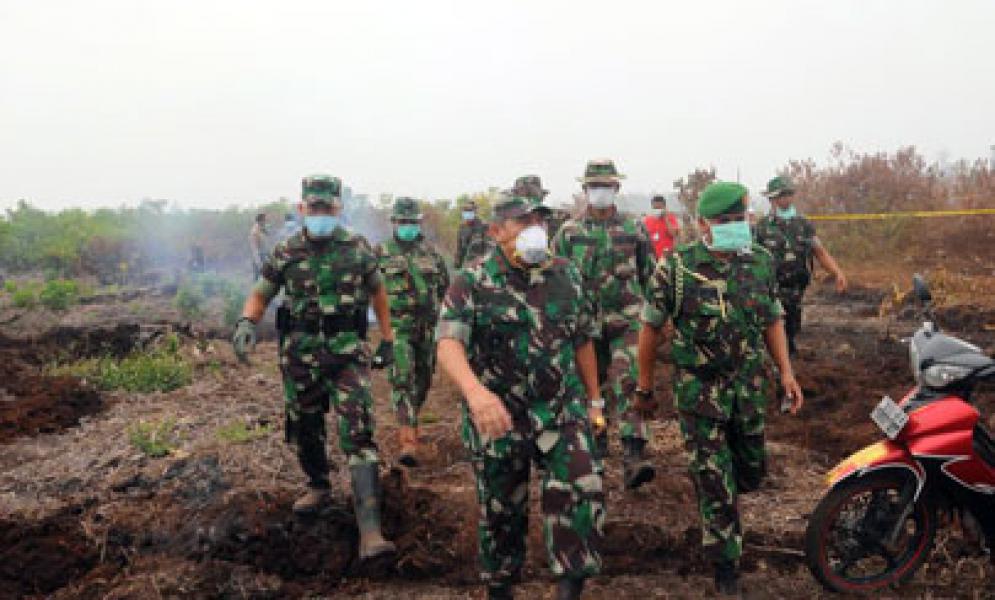 Danrem 031/Wirabima TInjau Karhutla di Rimbo Panjang