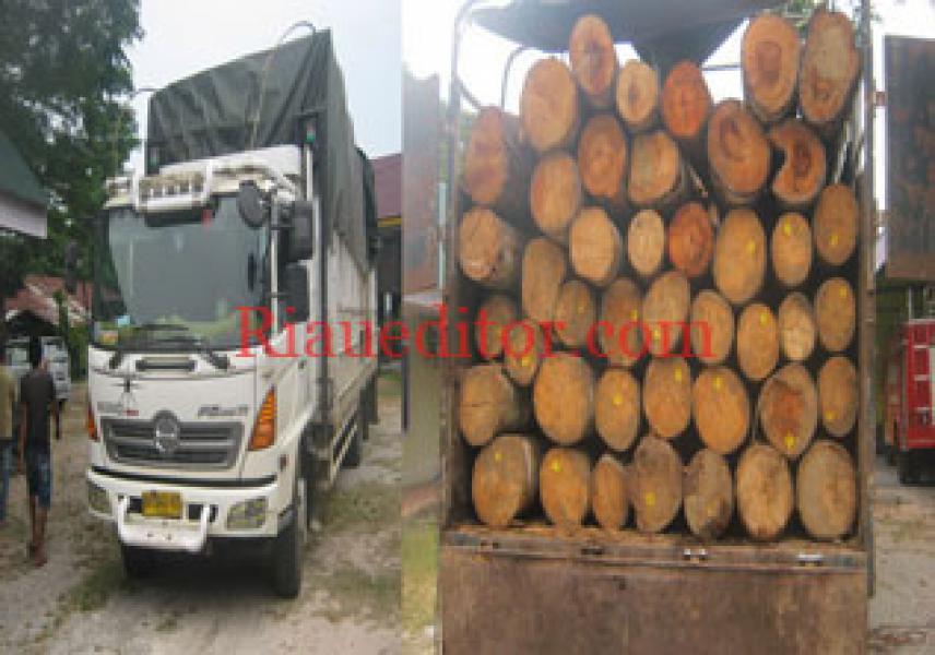 Polhut Riau Amankan Truk Bermuatan Kayu Log Tanpa Dokumen