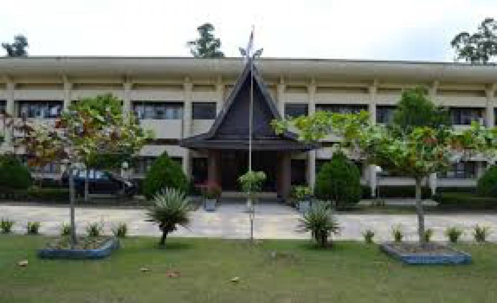 Dihina dan Dipermalukan Depan Umum, Dosen Polisikan Dekan FKIP Universitas Lancang Kuning