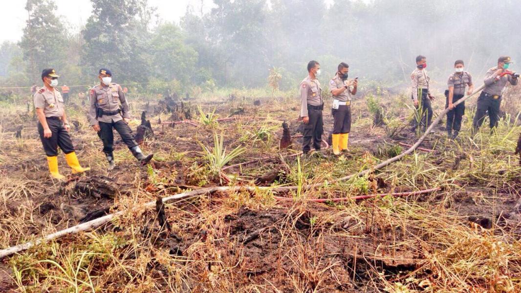 Kebakaran Lahan Kembali Terjadi di 8 Perusahaan yang di SP3 kan Polda Riau 