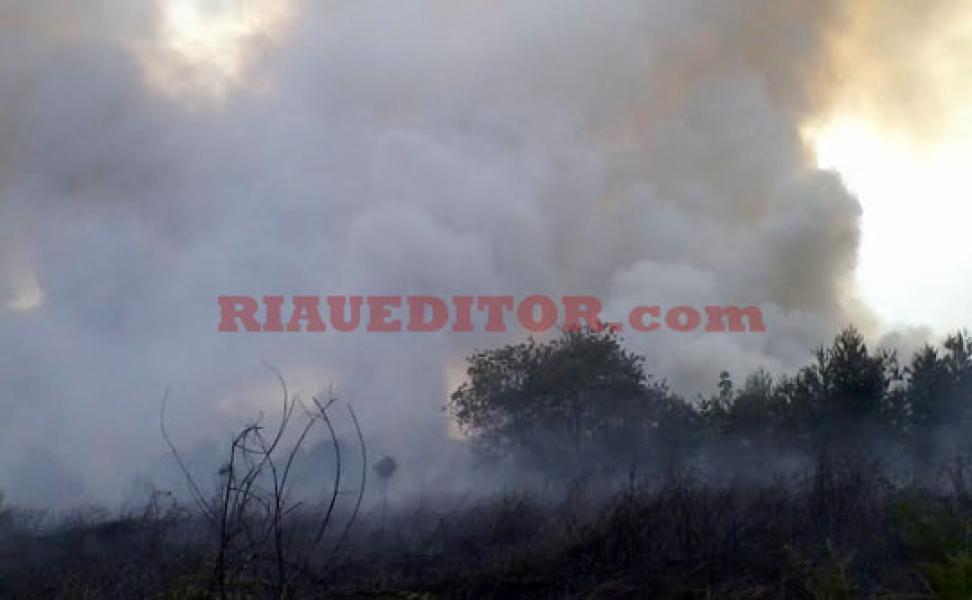 Kesulitan Air, Kebakaran Lahan di Pulau Muda Meluas