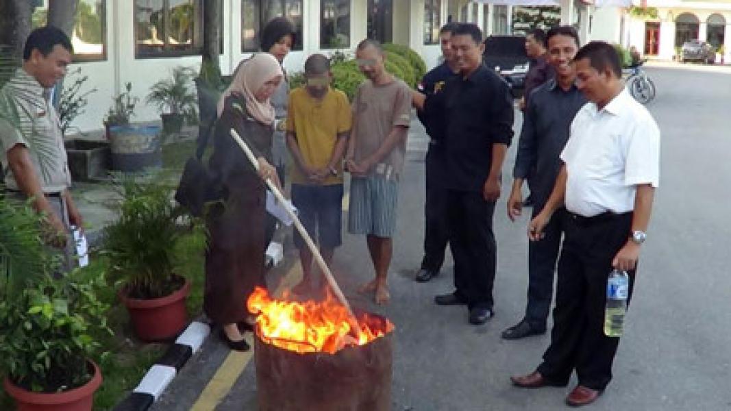 Polres Pelalawan Musnahkan BB Narkoba Jenis Daun Ganja Kering Seberat 3,5 Kg