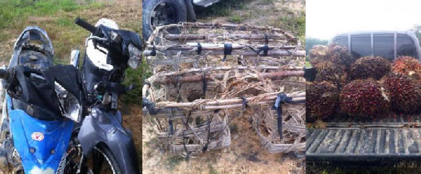 Polsek Pangkalan Lesung Amankan Pelaku Pencurian Sawit di PT SLS