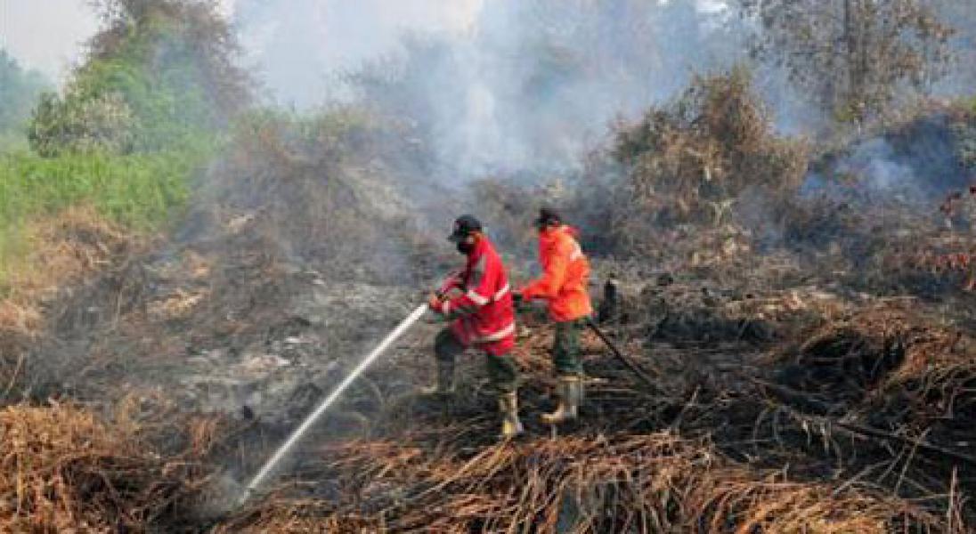 Prajurit Koramil 06/Mandau Bantu Padamkan Kebakaran Lahan di Mandau