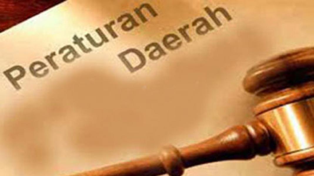 Soal Perda Parkir Gubri Akui Belum Cek