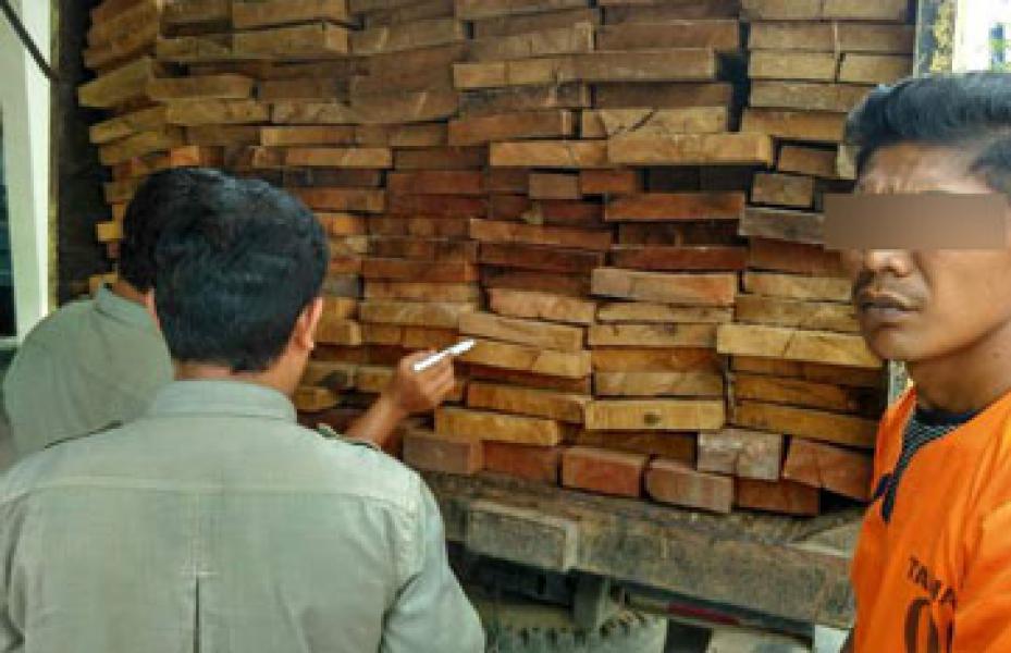 Supir Truck Colt Diesel Pengangkut Kayu Olahan Ditetapkan Sebagai Tersangka