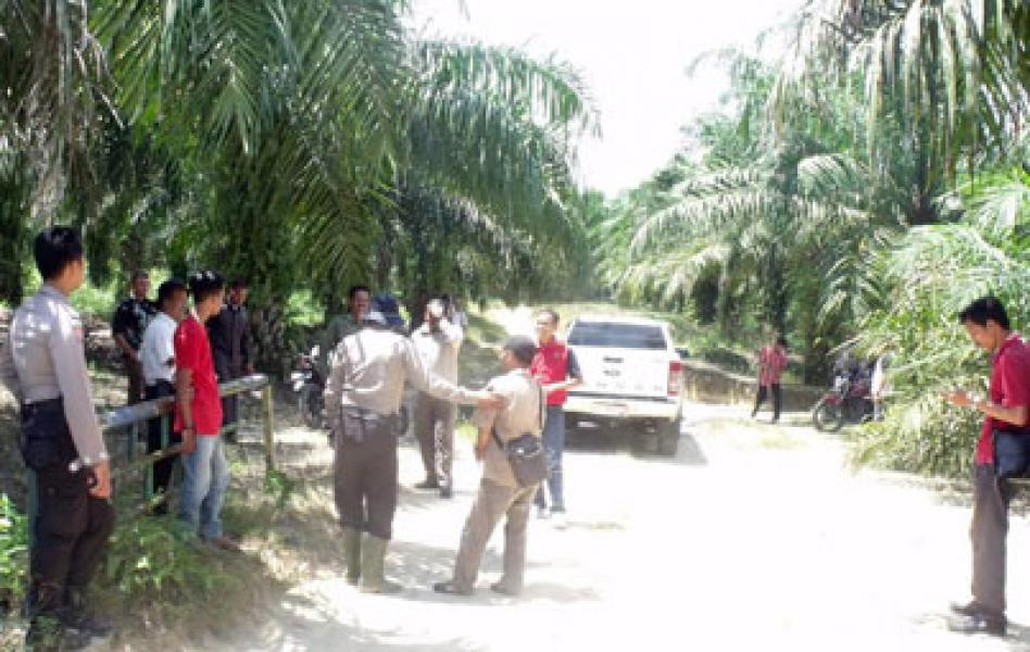 Tim Eksekusi Sayangkan LSM Riau Madani Tak Hadir Saat Meninjau Kebun Fieter Wongso
