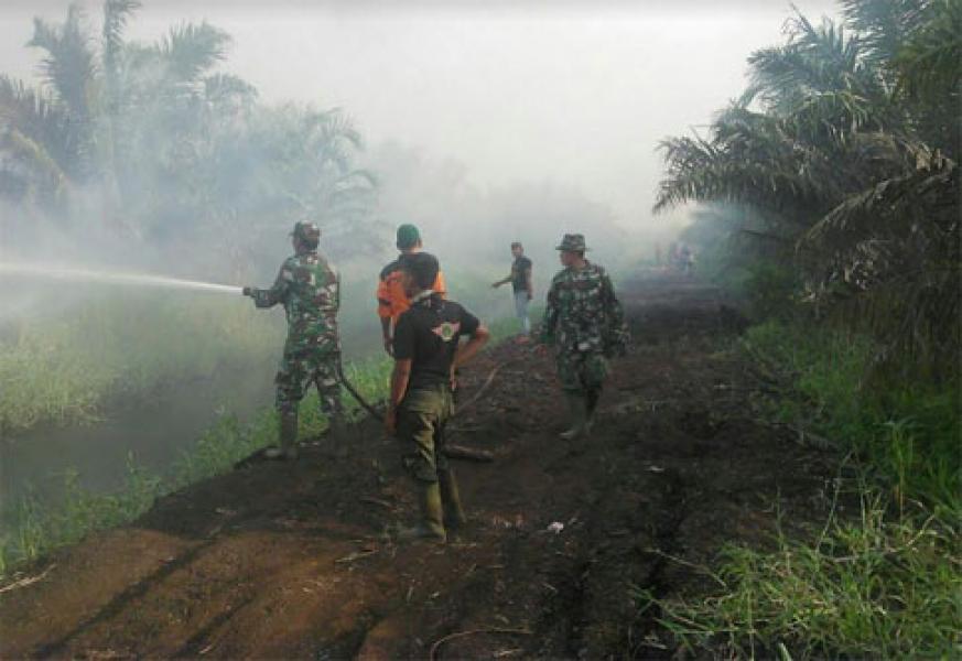 Anggota Koramil 01/Rengat Padamkan Karhutla Di Desa Sungai Raya