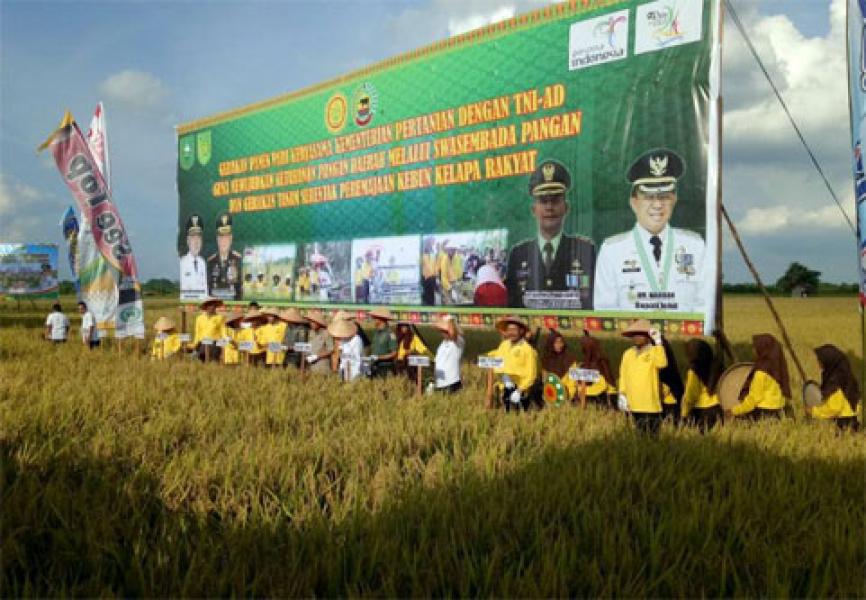Bersama Kodim 0314/Inhil, Gubri Panen Raya Di Kecamatan Kempas