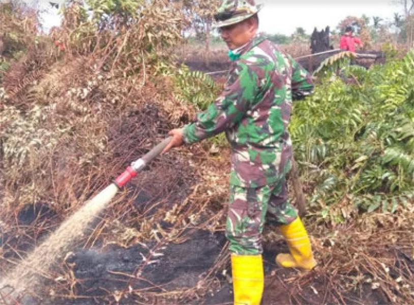 Dandim 0313/KPR Terjun Padamkan Titik Api Di Rimbo Panjang