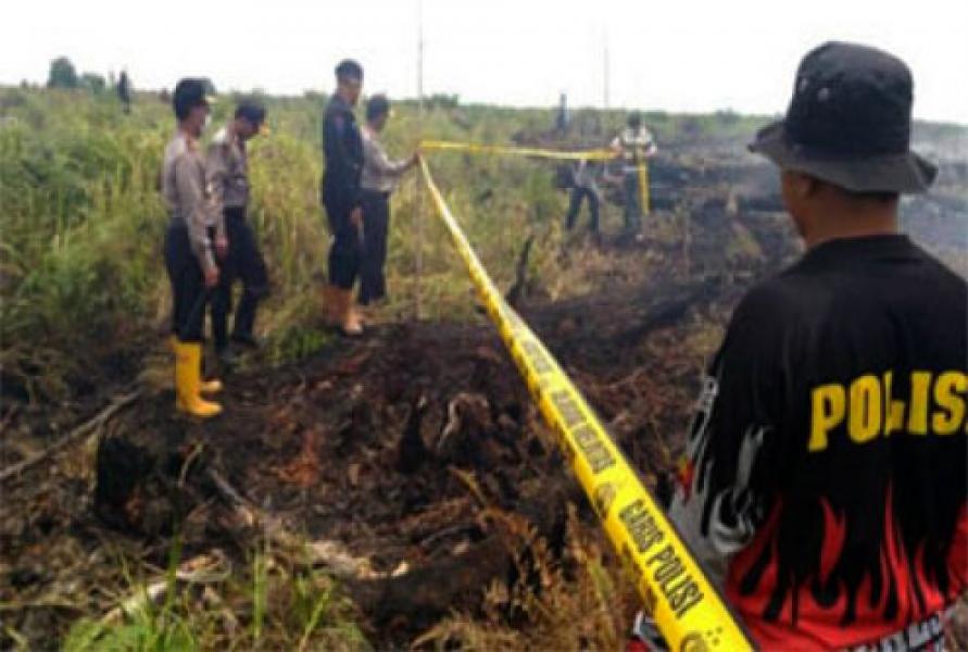Kasus Karhutla, Polda Riau Tahan 10 Tersangka