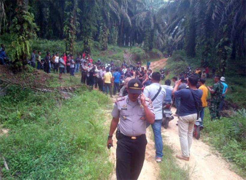 Kecewa, Warga Duduki 56 Hektar Lahan Kebun PT Tasma Puja