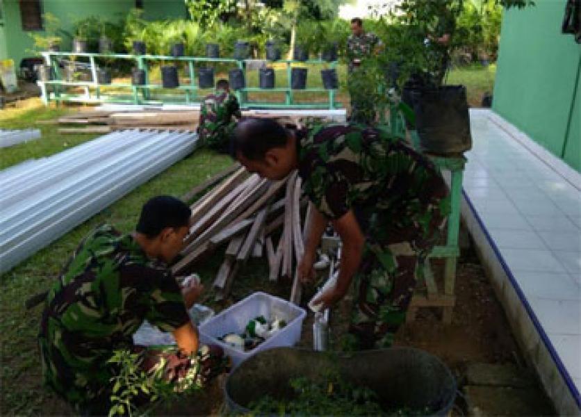 Koramil 01/Rengat Laksanakan Budidaya Tanaman Hidroponik