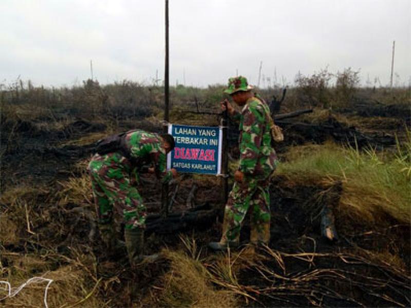 Usai Dipadamkan, Lahan Masyarakat yang Terbakar Dalam Pengawasan Satgas Karhutla 