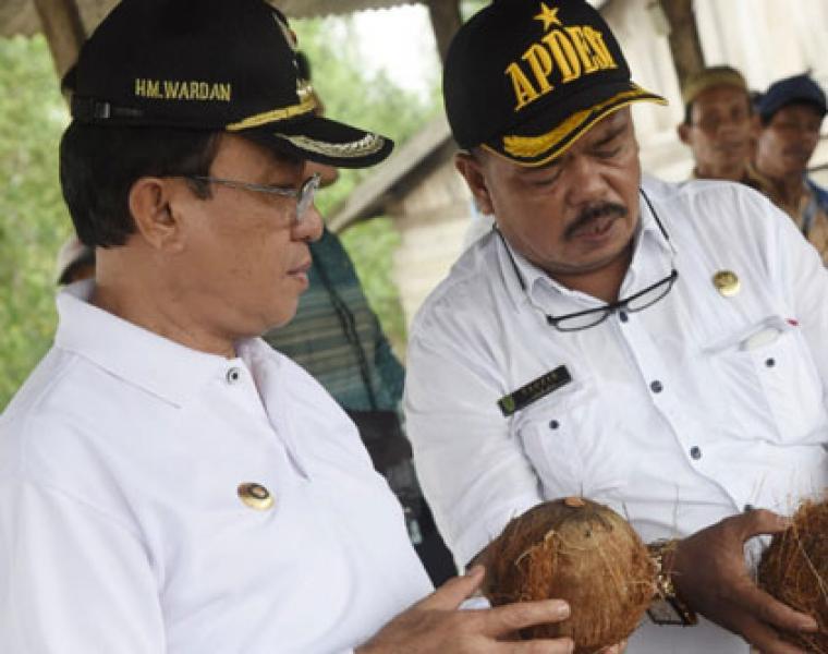 Atasi Penurunan Harga, Bupati Wardan Tinjau Tempat Pengumpul Kelapa