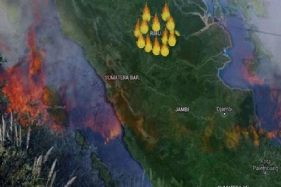 BMKG Deteksi 55 Titik Panas di Rokan Hilir