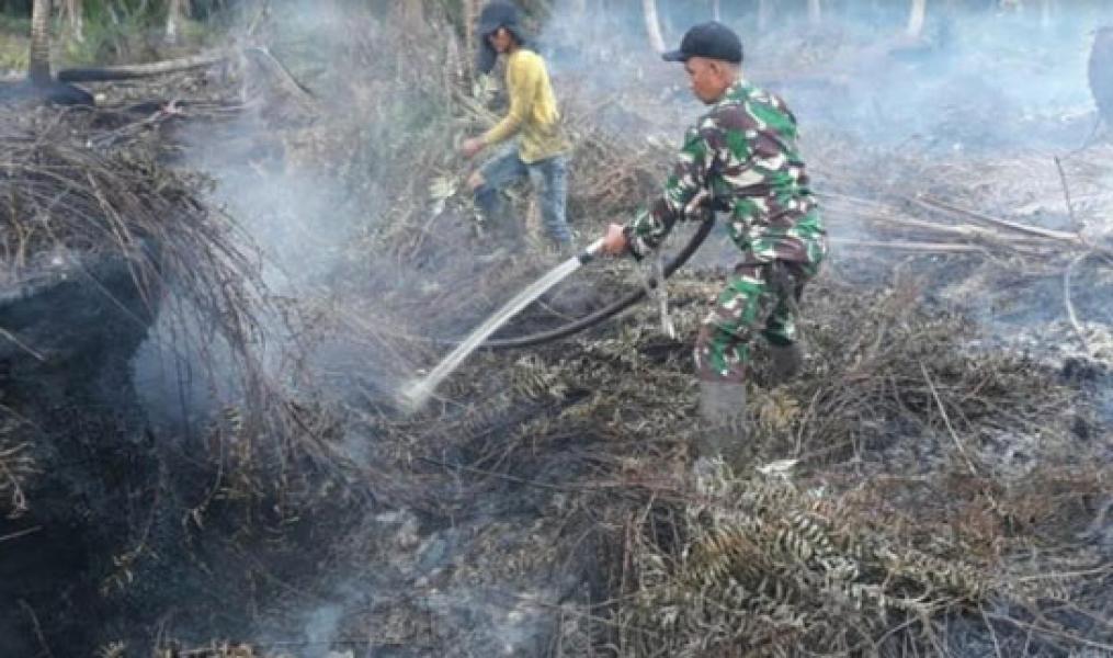Dandim 0314/Inhil: Lokasi Lahan yang Terbakar Akan Diawasi Secara Ketat
