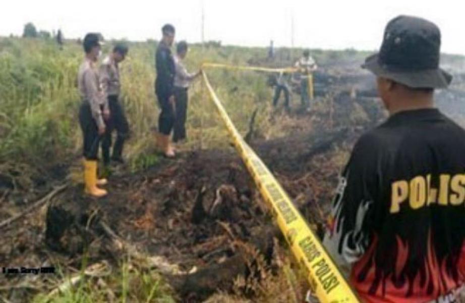 Hingga Agustus 2018, Polda Riau Tangani 11 Kasus Karhutla