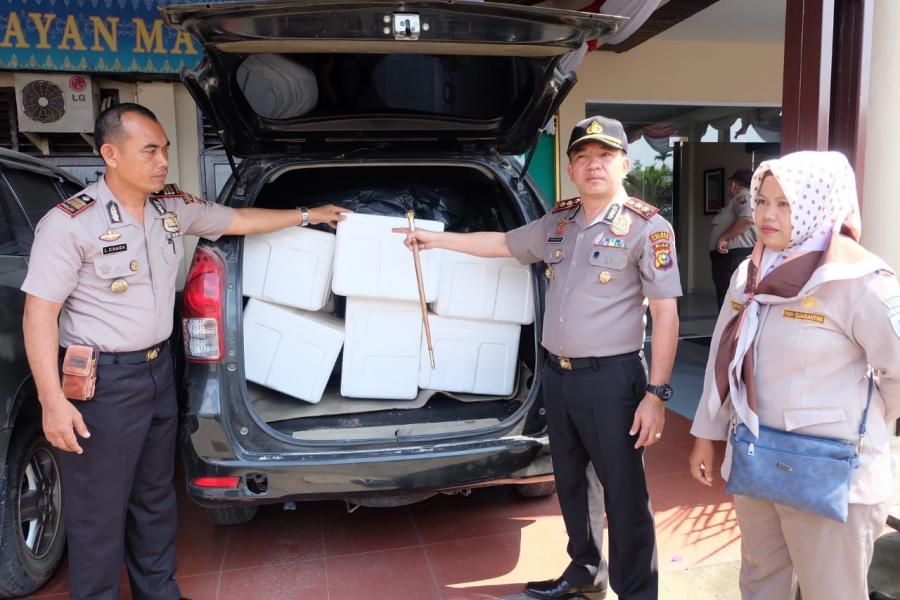 Polres Inhil Tangkap 4 Pelaku Penyelundup 108.000 Ekor Benih Lobster Senilai Rp32 Milyar