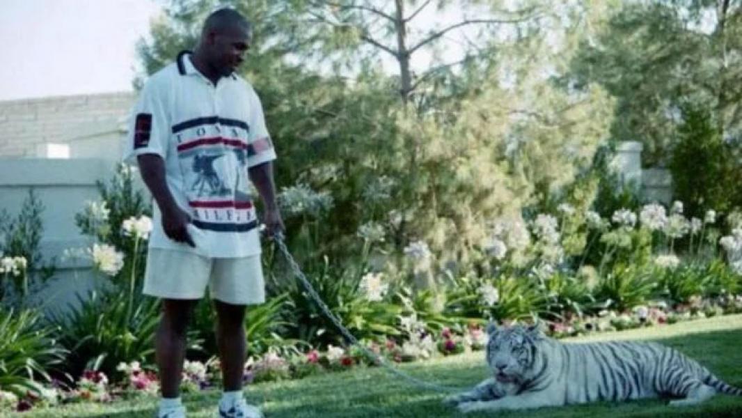 Pantas Saja Mike Tyson Bebas Jualan Ganja