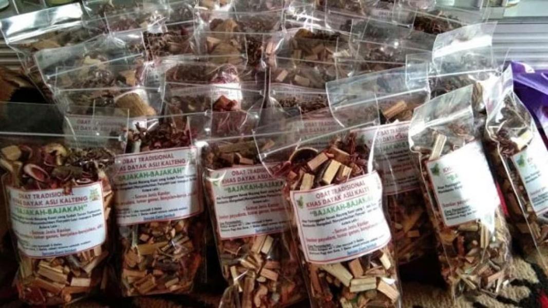 Viral Kayu Bajakah dari Kalimantan, di Medsos Dijual Harga Selangit
