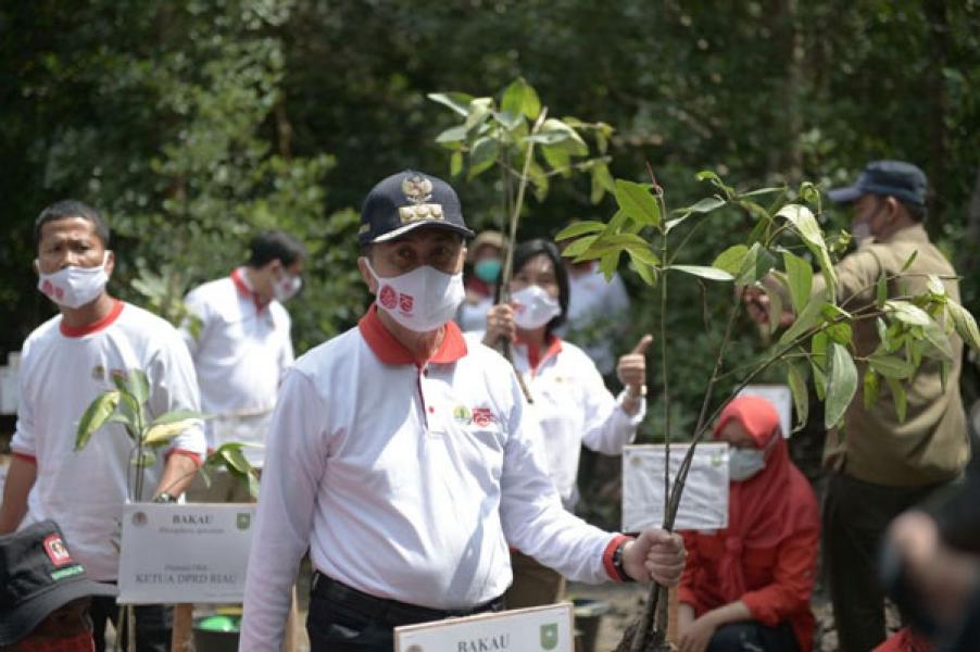 2.020 Batang Bibit Mangrove Ditanam di Dumai