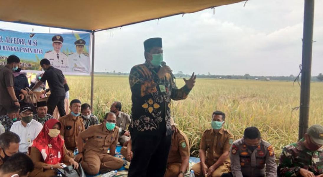 Alfedri Akan Carikan Solusi untuk Pernenuhan Pompa Air Petani di kecamatan Sabak Auh
