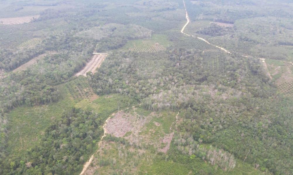 Antisipasi Karhutla, Polsek Bunut Ikut Patroli Gunakan Heli
