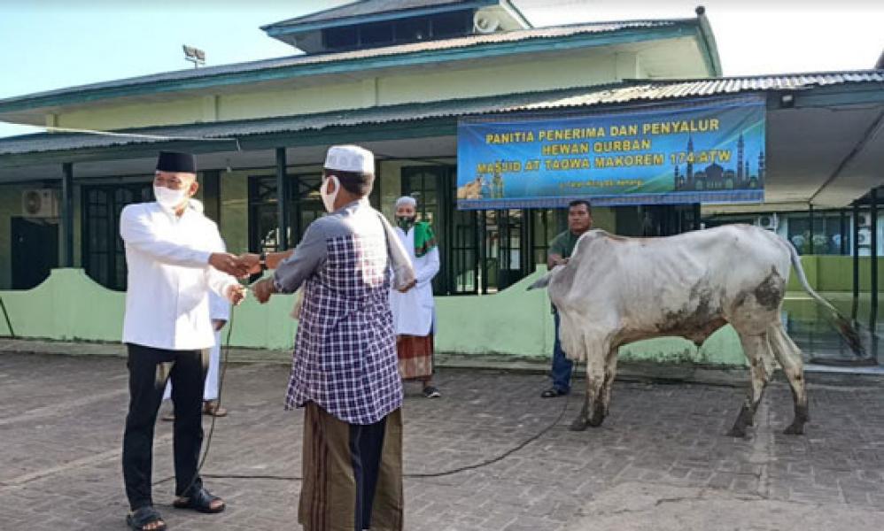 Idul Adha 1441 H, Korem Merauke Sembelih 12 Ekor Sapi Hewan Kurban