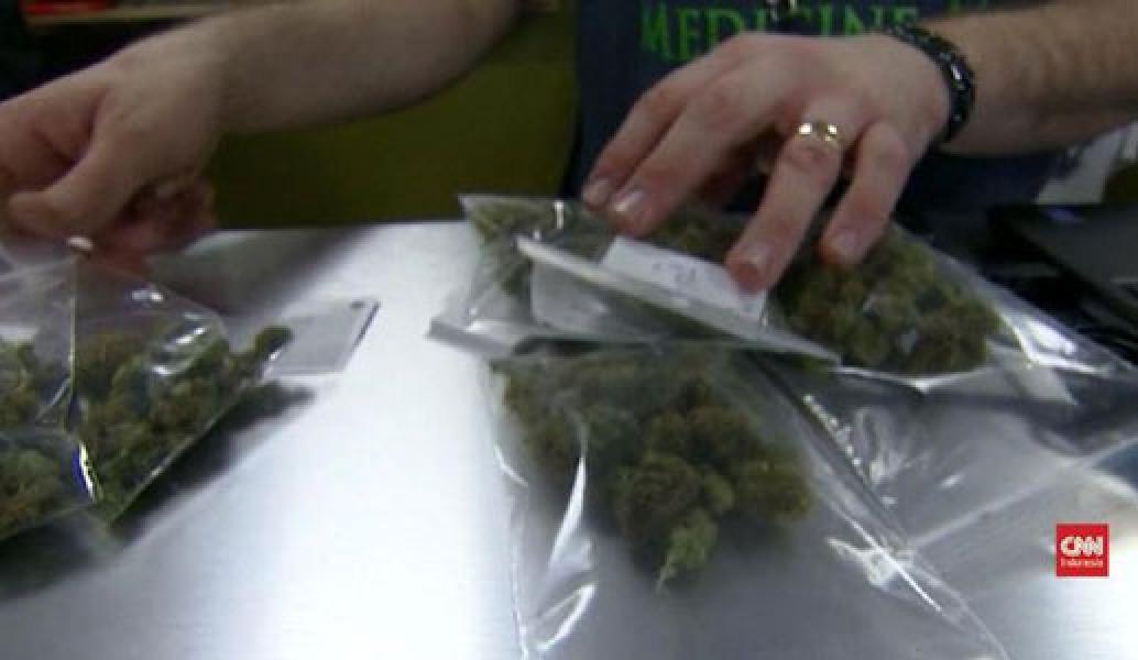Jadi Tanaman Binaan Kementan, Ganja Tetap Ilegal di Indonesia