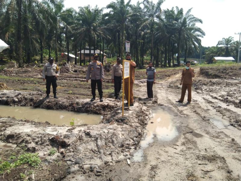 Kapolsek Ukui dan Perangkat Desa Cek Lahan Ketahanan Pangan