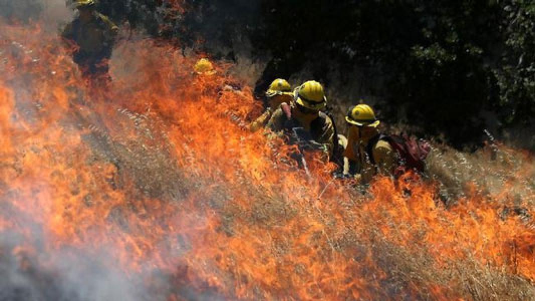 Karhutla di California, 7000 Penduduk Mengungsi