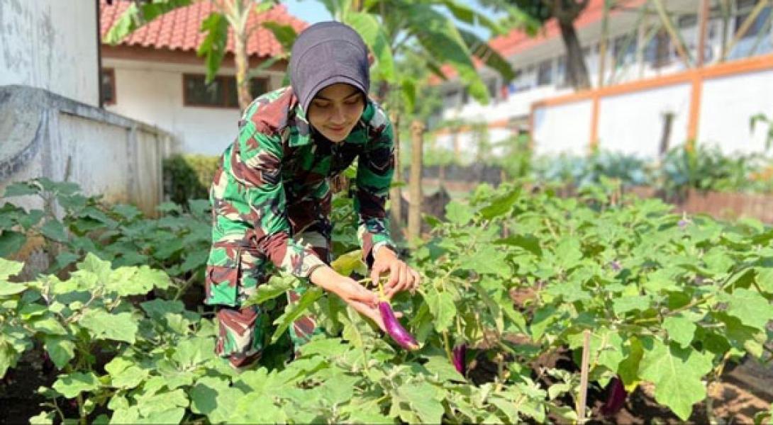 Kowad Seskoad Buktikan Peduli Ketahanan Pangan Saat Pandemi Covid-19